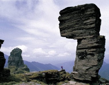 ​世人新宠梵净山免门票了，世界奇迹蘑菇石和红云金顶免费邀你游玩