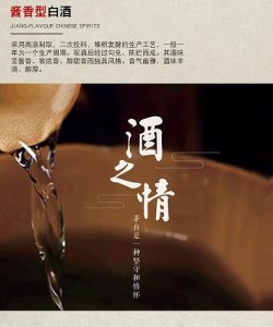 ​洋河蓝的诱惑怎么样(洋河蓝优酒怎么样)