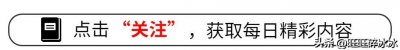 ​有一种“反噬”叫刘亮和白鸽，离婚5年后，善恶报应都已应验