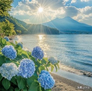 ​道家中提到的炁（qì）到底是什么？如何获得？