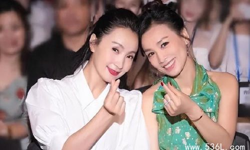 陶虹从张庭公司分红4亿惹争议 官方：她将面临追查