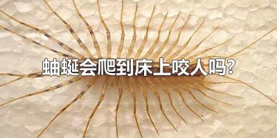 ​蚰蜒会爬到床上咬人吗? 蚰蜒分布在全国大多数地方