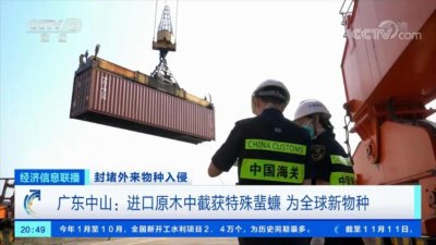 ​新物种！全球首次报道！这一病媒生物被海关截获