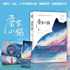 ​小甜文推荐：宠宠宠《唐家小猫》