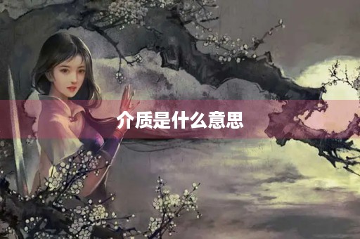 介质是什么意思