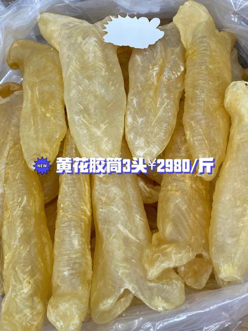 花胶是鱼泡吗（花胶属不属于鱼泡）