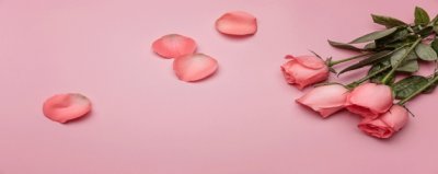 ​女生说玫瑰到了花期是什么意思