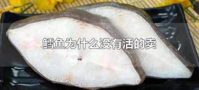 ​鳕鱼为什么没有活的卖（鳕鱼有活的卖吗）