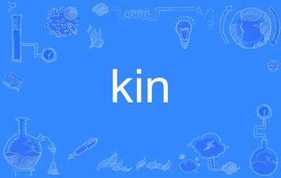​kin是什么意思（kin的解释）