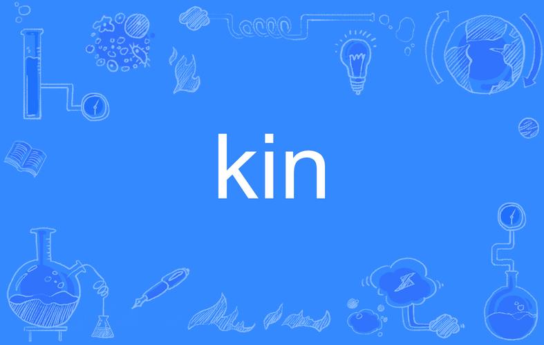 kin是什么意思（kin的解释）